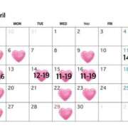 ヒメ日記 2026/03/02 21:40 投稿 まりあ 秘書室(吉原)