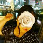 ヒメ日記 2025/03/20 23:47 投稿 ことみ 待ちナビ