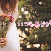 ヒメ日記 2025/04/20 22:35 投稿 ことみ 待ちナビ