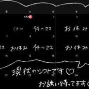 ヒメ日記 2025/04/01 00:33 投稿 羽沼 BBW五反田店