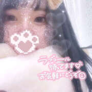 ヒメ日記 2025/02/11 12:05 投稿 なな PINK PLANET