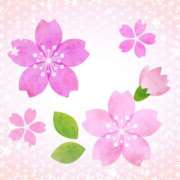 ヒメ日記 2025/04/04 12:34 投稿 みはる 熟女の薫り