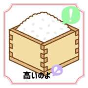 ヒメ日記 2025/04/12 11:16 投稿 みはる 熟女の薫り