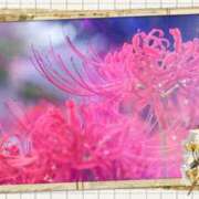 ヒメ日記 2025/09/24 12:36 投稿 みはる 熟女の薫り