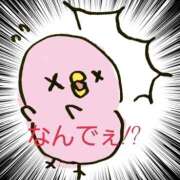 ヒメ日記 2025/10/05 10:06 投稿 みはる 熟女の薫り