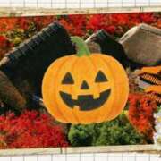 ヒメ日記 2025/10/25 18:24 投稿 みはる 熟女の薫り