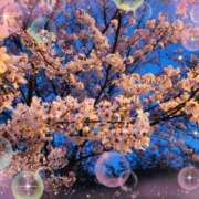 ヒメ日記 2026/04/09 23:18 投稿 みはる 熟女の薫り