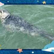 ヒメ日記 2026/06/17 13:29 投稿 みはる 熟女の薫り