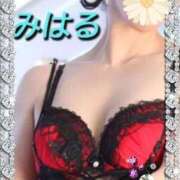 ヒメ日記 2026/08/08 09:00 投稿 みはる 熟女の薫り