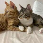 ヒメ日記 2025/02/07 15:00 投稿 小林るる Finemotion