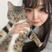 ヒメ日記 2025/03/17 12:03 投稿 小林るる Finemotion