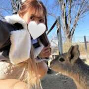 ヒメ日記 2025/12/13 14:46 投稿 小林るる Finemotion