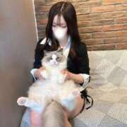 のどか 🐈𝐓𝐡𝐚𝐧𝐤 𝐲𝐨𝐮🐈 BLUE BIRD (ブルーバード) 上越