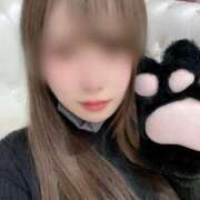 ヒメ日記 2025/03/28 14:15 投稿 さら 神栖レッドダイヤ