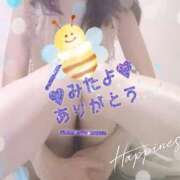 ヒメ日記 2025/04/11 00:13 投稿 南沢 なつき 人妻セレブ宮殿