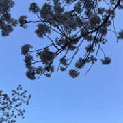 ヒメ日記 2025/04/07 13:10 投稿 みら 奥鉄オクテツ東京店（デリヘル市場）