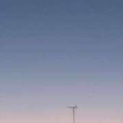 ヒメ日記 2026/02/17 20:00 投稿 みら 奥鉄オクテツ東京店（デリヘル市場）