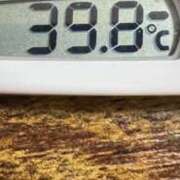 ヒメ日記 2025/11/15 13:58 投稿 ここあ 熟女家 ミナミエリア店