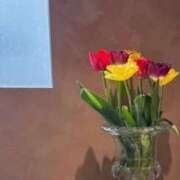 ヒメ日記 2025/03/12 08:01 投稿 まひる 五反田人妻ヒットパレード（シンデレラグループ）