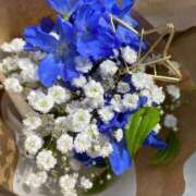 ヒメ日記 2025/04/18 11:13 投稿 まひる 五反田人妻ヒットパレード（シンデレラグループ）