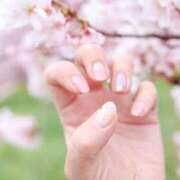 ヒメ日記 2025/04/21 16:46 投稿 まひる 五反田人妻ヒットパレード（シンデレラグループ）