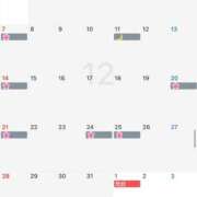 おとめ 12月の予定✨ ていくぷらいど.学園