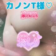 ヒメ日記 2025/02/08 01:22 投稿 さくら Carnival（カーニバル）