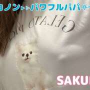 ヒメ日記 2025/02/09 19:48 投稿 さくら Carnival（カーニバル）