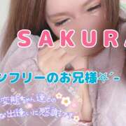 ヒメ日記 2025/02/11 02:39 投稿 さくら Carnival（カーニバル）