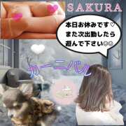 ヒメ日記 2025/02/12 09:57 投稿 さくら Carnival（カーニバル）