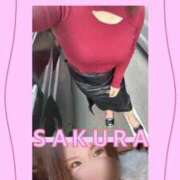 ヒメ日記 2025/02/14 13:44 投稿 さくら Carnival（カーニバル）