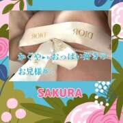 ヒメ日記 2025/02/15 03:36 投稿 さくら Carnival（カーニバル）