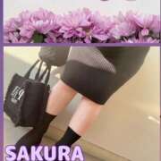 ヒメ日記 2025/02/16 19:06 投稿 さくら Carnival（カーニバル）