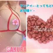 ヒメ日記 2025/02/19 23:53 投稿 さくら Carnival（カーニバル）