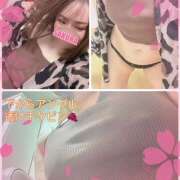 ヒメ日記 2025/02/21 12:55 投稿 さくら Carnival（カーニバル）