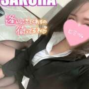 ヒメ日記 2025/04/19 11:56 投稿 さくら Carnival（カーニバル）