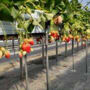 ヒメ日記 2025/03/01 10:11 投稿 みずほ 熟女22時