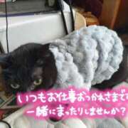 ヒメ日記 2025/03/14 09:50 投稿 みずほ 熟女22時