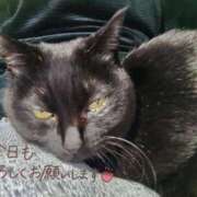 ヒメ日記 2025/03/15 09:52 投稿 みずほ 熟女22時