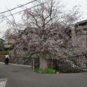 ヒメ日記 2025/04/10 08:19 投稿 みずほ 熟女22時