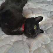 ヒメ日記 2025/06/24 09:47 投稿 みずほ 熟女22時