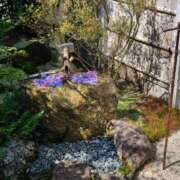 ヒメ日記 2025/07/29 09:58 投稿 みずほ 熟女22時