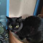 ヒメ日記 2025/08/04 07:41 投稿 みずほ 熟女22時