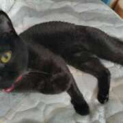 ヒメ日記 2025/09/16 10:11 投稿 みずほ 熟女22時