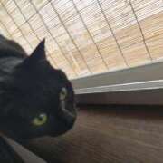 ヒメ日記 2026/03/09 10:15 投稿 みずほ 熟女22時