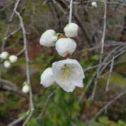 みずほ おはようございます😊 熟女22時