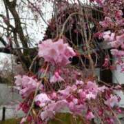 ヒメ日記 2026/03/20 10:00 投稿 みずほ 熟女22時