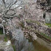 ヒメ日記 2026/04/02 07:40 投稿 みずほ 熟女22時