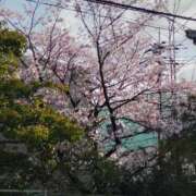 ヒメ日記 2026/04/03 10:00 投稿 みずほ 熟女22時