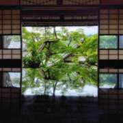 ヒメ日記 2026/07/18 07:47 投稿 みずほ 熟女22時